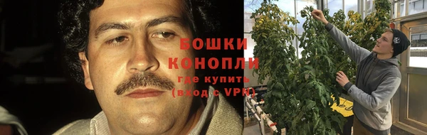 сатива Абдулино