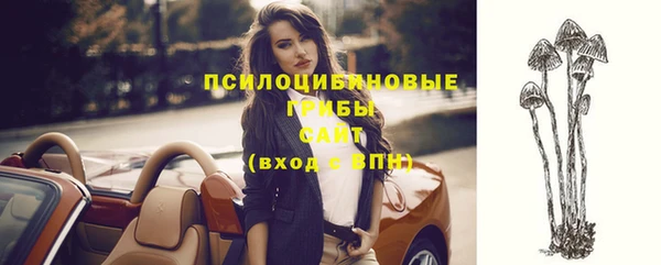 сатива Абдулино